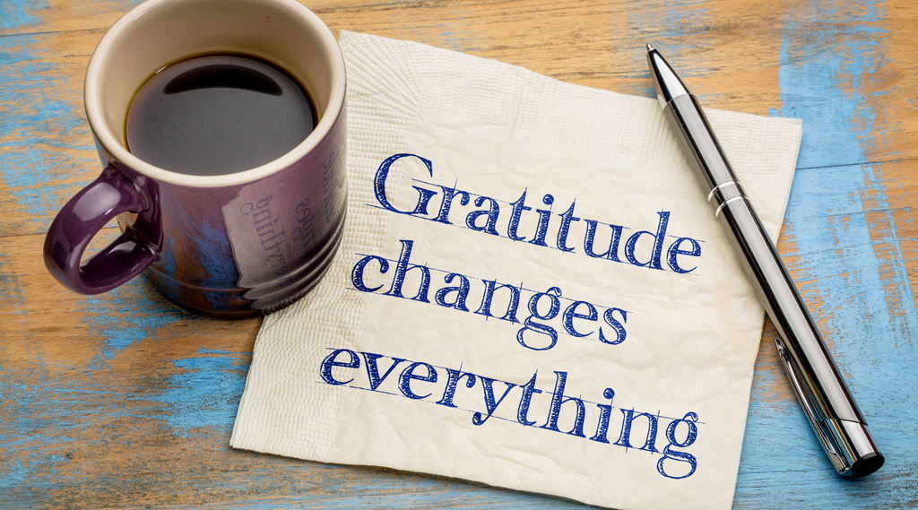 Thankful November: Cultivating Gratitude in Autumn's Embrace